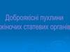 Доброякісні пухлини жіночих статевих органів