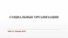 Социальные организации