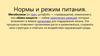 Нормы и режим питания