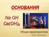 Основания. Общая характеристика