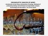 Organoleptic analysis of wines