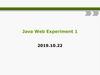Java Web Experiment 1