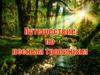 Путешествие по лесным тропинкам. Юный натуралист (занятие № 62)
