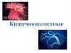 Кишечнополостные