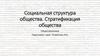 Социальная структура общества. Стратификация общества