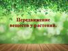 Передвижение веществ у растений