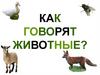 Как говорят животные (часть 2)