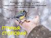 Птичья столовая