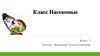 Класс Насекомые. 7 Класс