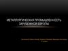 Металлургическая промышленность зарубежной Европы