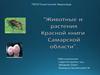 Животные и растения Красной книги Самарской области