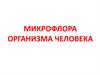 Микрофлора организма человека