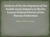 ВКР: Analysis of the development of the health resort industry in the Far Eastern Federal District