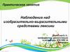 Наблюдение над изобразительно-выразительными средствами лексики