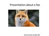 Presentation about a fox