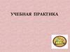 Учебная практика