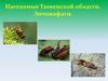 Насекомые Тюменской области. Энтомофаги