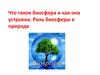 Что такое биосфера и как она устроена. Роль биосферы в природе