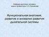 Функциональная анатомия, развитие и аномалии развития дыхательной системы