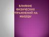 Влияние физических упражнений на мышцы