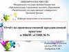 Педагогика и психология. Отчёт по производственной преддипломной практике