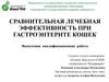 ВКР: Сравнительная лечебная эффективность при гастроэнтерите кошек