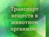 Транспорт веществ в животном организме