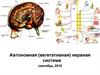 Автономная (вегетативная) нервная система