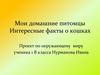 Мои домашние питомцы. Интересные факты о кошках
