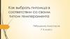 Как выбрать питомца в соответствии со своим типом темперамента