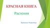 Красная книга. Растения