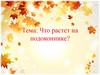 Что растет на подоконнике (1 класс)