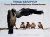 Птицы Беларуси. Отряд Воробьинообразные