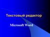 Текстовый редактор Microsoft Word