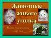 Животные живого уголка
