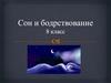 Сон и бодрствование. 8 класс