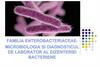 Familia Enterobacteriaceae. Microbiologia si diagnosticul de laborator al dizenteriei bacteriene