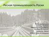 Лесная промышленность России