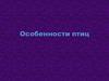 Особенности птиц