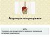 Регуляция пищеварения