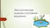 Экологическая оценка состояния водоема