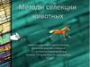 Методы селекции животных