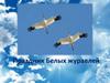 Праздник Белых журавлей