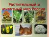 Растительный и животный мир России