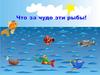 Что за чудо эти рыбки!