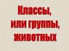Группы животных. 2 класс
