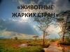 Животные жарких стран