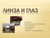Линза и глаз