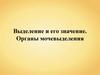 Выделение и его значение. Органы мочевыделения