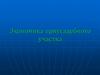 Экономика приусадебного участка
